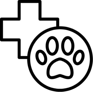 Veterinäre